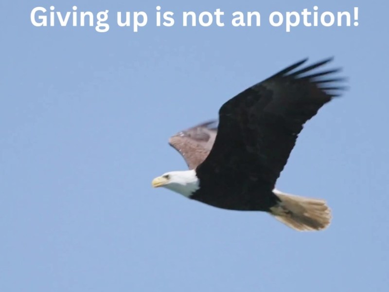 Giving Up Is Not An Option