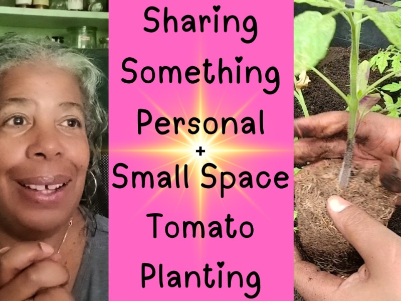 Sharing Something Personal With You, AND Small Space Gardening